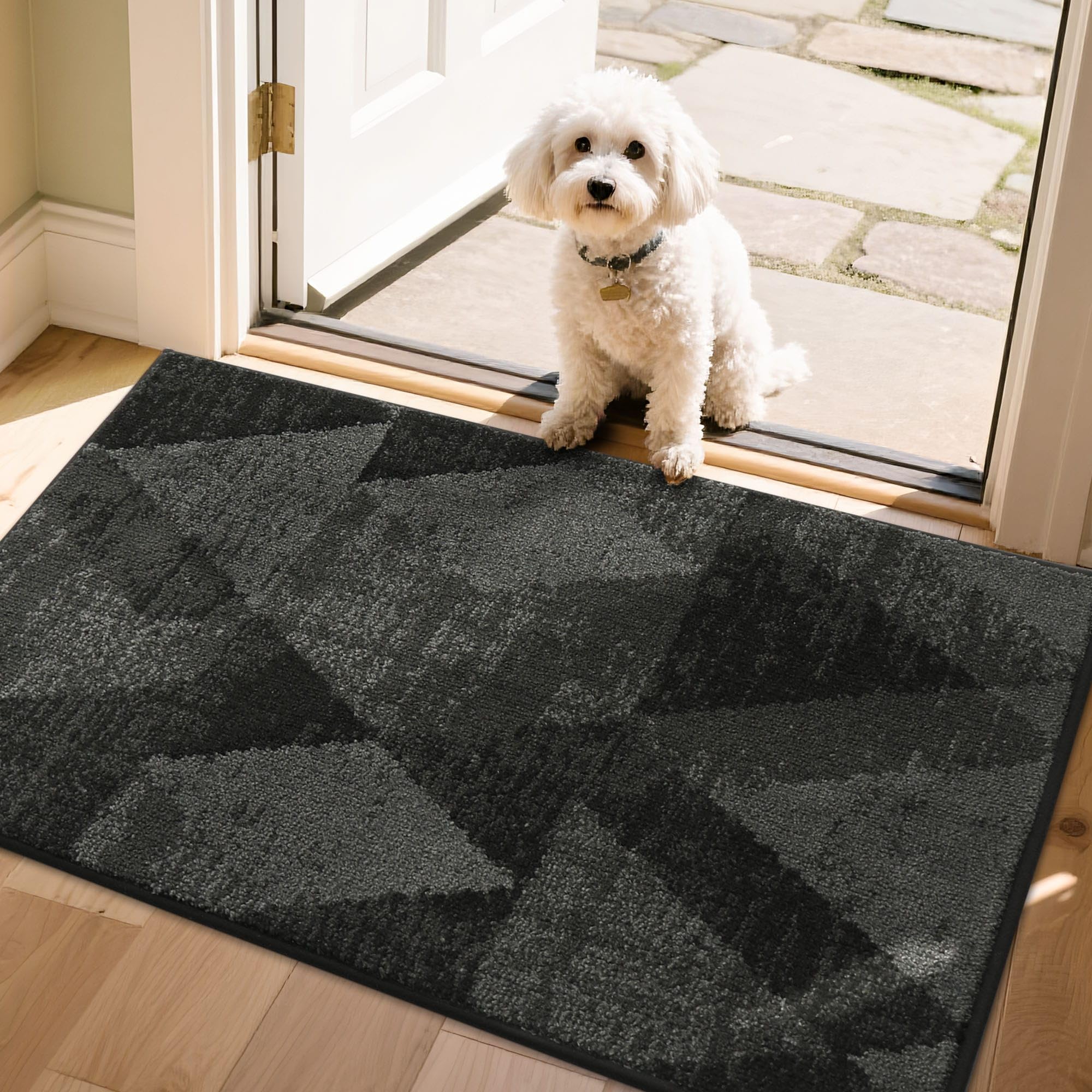 COSY HOMEER Entryway Rugs Doormat 20"x32", Non-Slip Absorbent Polyester, Washable Rugs for Front Door, Dirty Paws & High Traffic Areas, Dark Gray