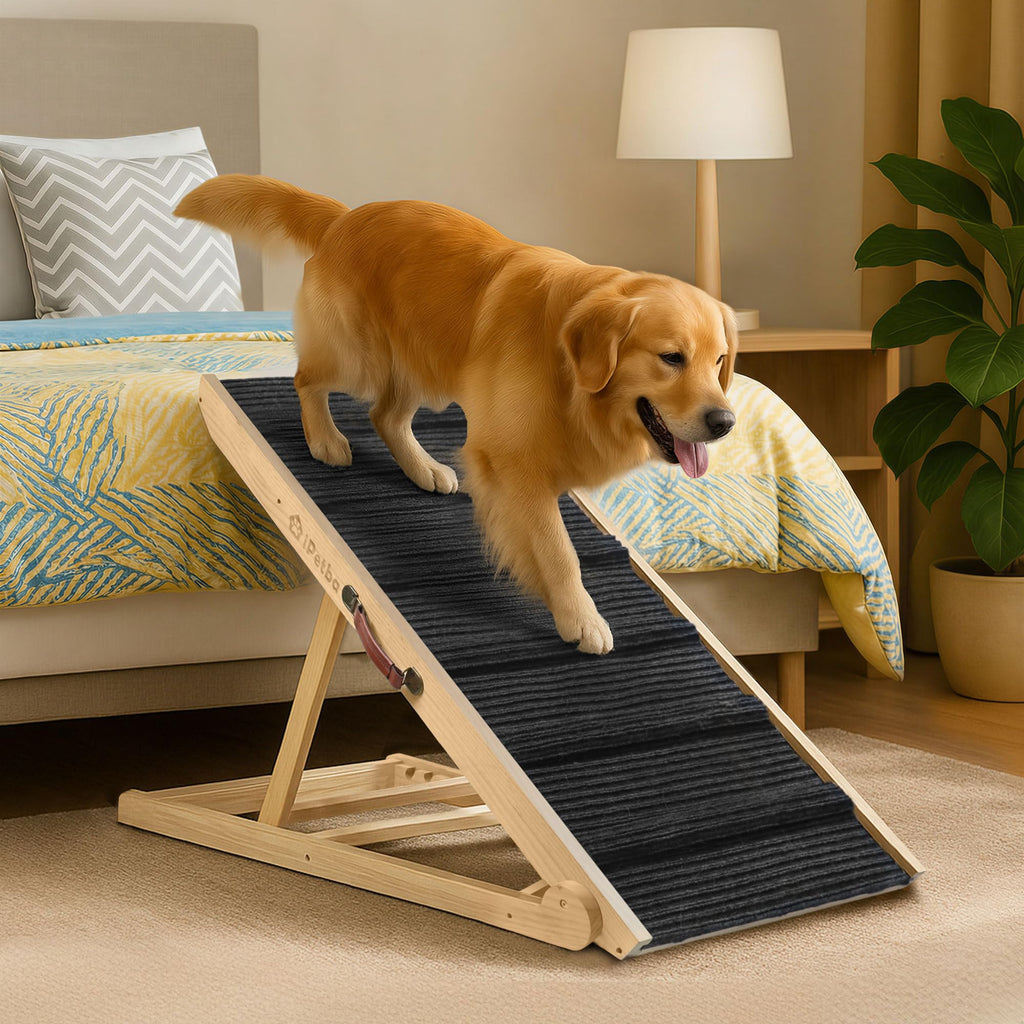Dog Ramp for Couch & Low Bed - Joint & Spine Support with Gentle Incline for Small Dogs, Adjustable, Anti-Slip & Foldable, Up to 35 lbs