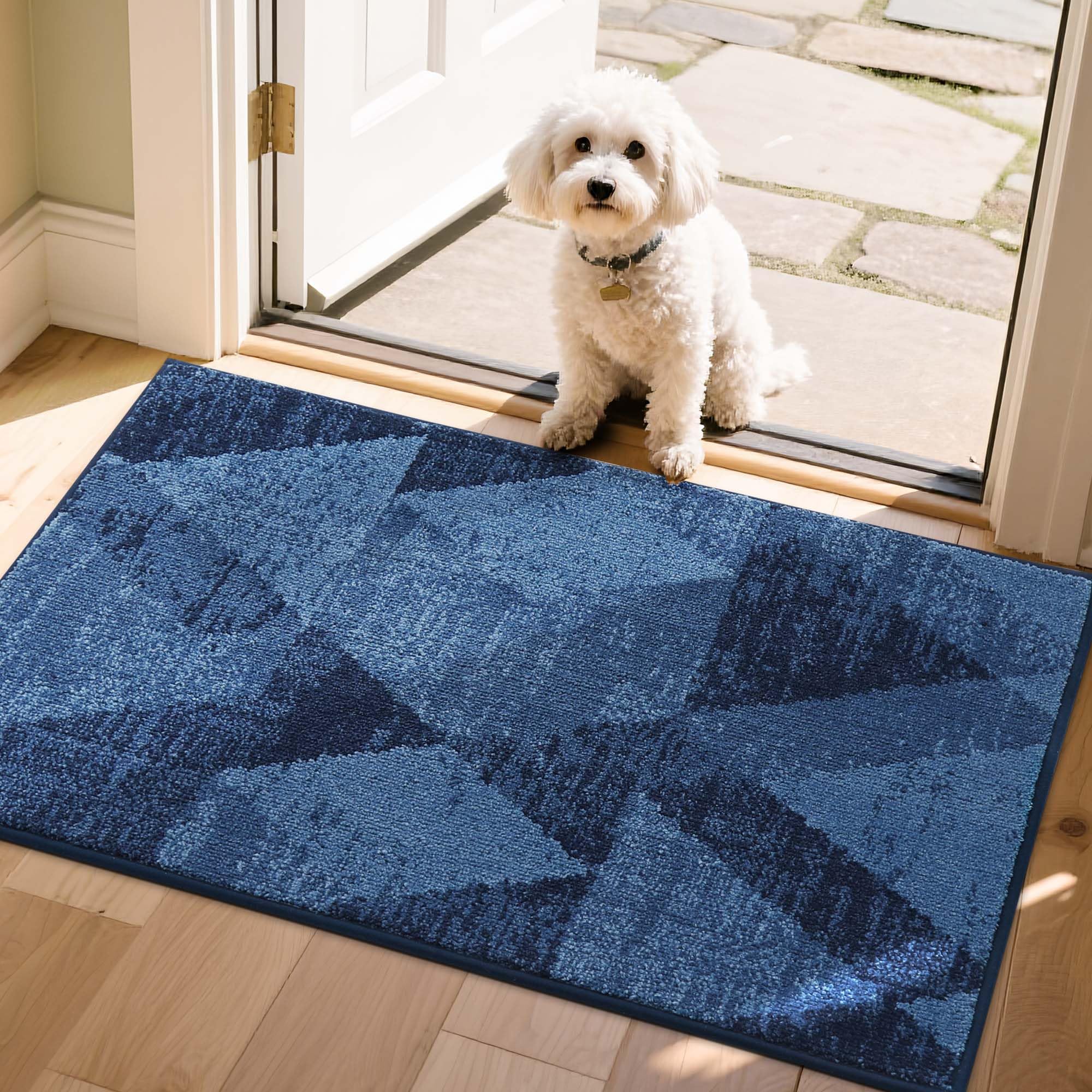 COSY HOMEER Entryway Rugs Doormat 20"x32", Non-Slip Absorbent Polyester, Washable Rugs for Front Door, Dirty Paws & High Traffic Areas, Dark Gray