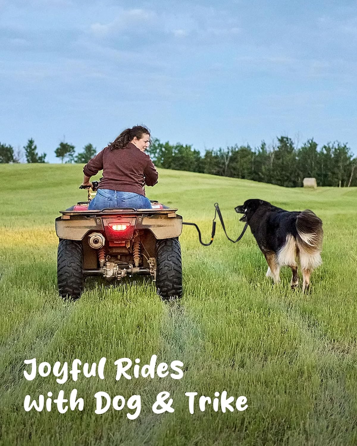 Dog Bike Leash - Hands-Free Bike Attachment for Dogs, Safe Shock-Absorbing, Adjustable Length, Easy to Install