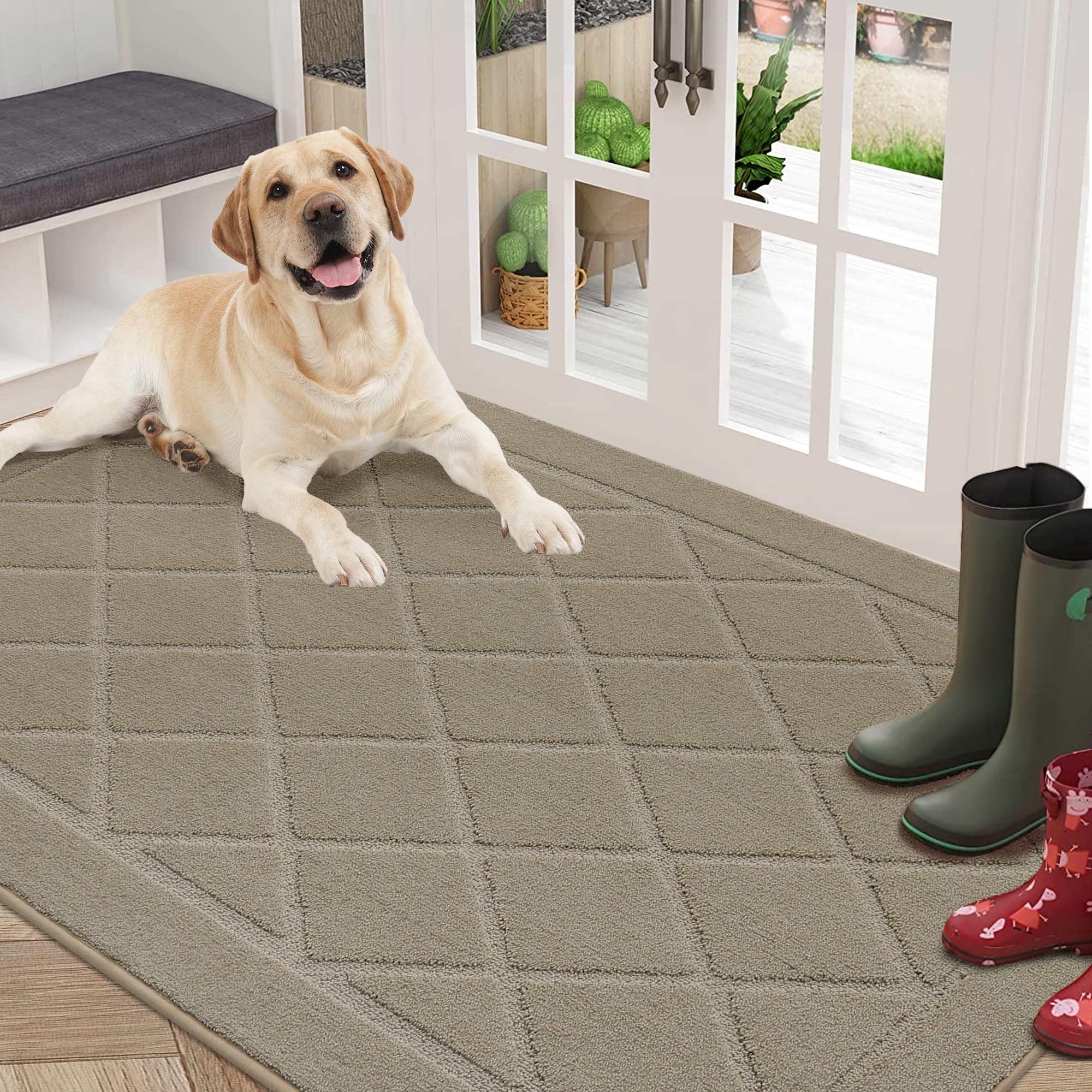 BEQHAUSE Dirt Trapper Door Mat 32" x 48", Doormat Non-Slip Entryway Rugs Washable, Dog Door Mat Stain Resistant and Absorbent Welcome Floor Mat for Front Back Door, Mud Wet Shoes & Paws, Dark Grey