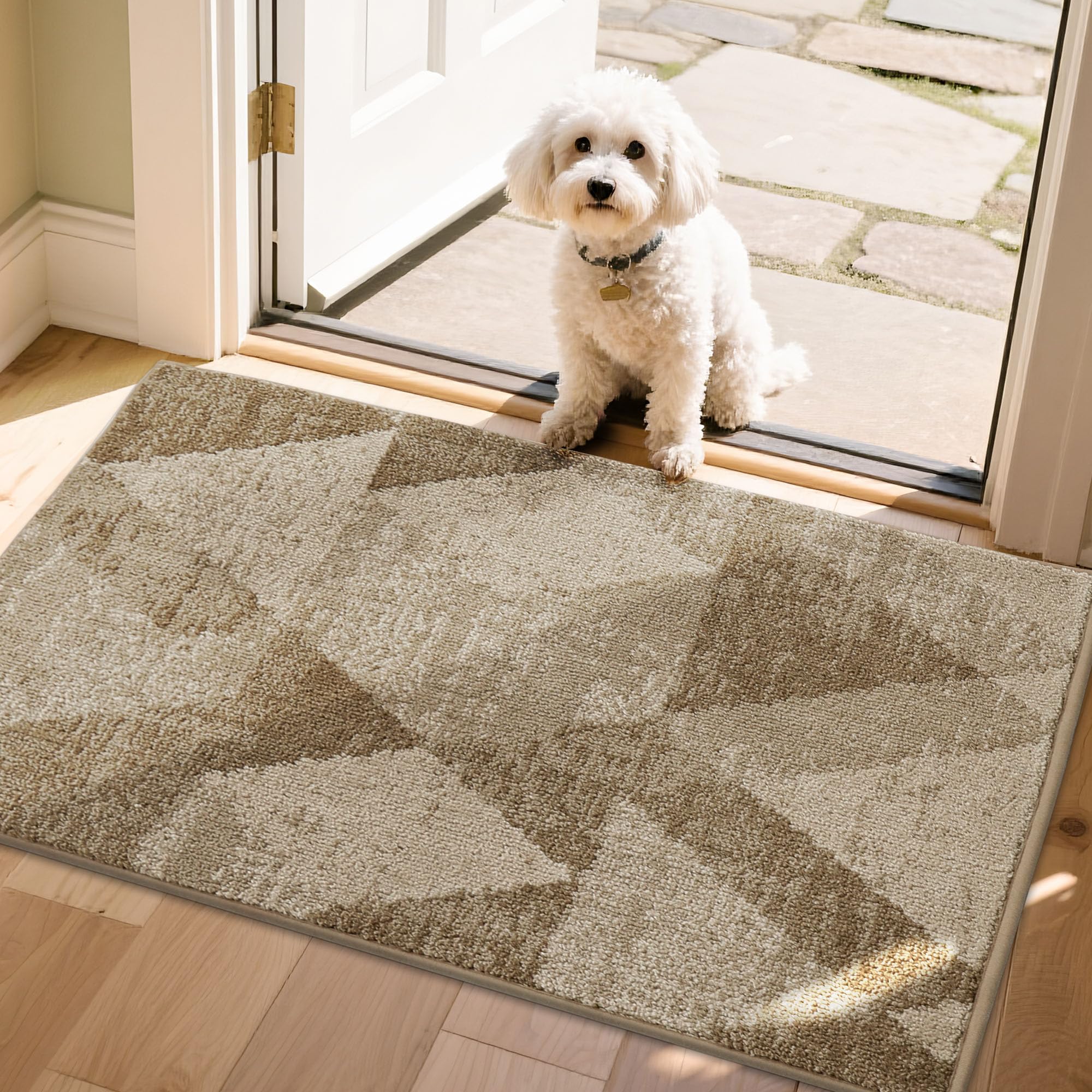 COSY HOMEER Entryway Rugs Doormat 20"x32", Non-Slip Absorbent Polyester, Washable Rugs for Front Door, Dirty Paws & High Traffic Areas, Dark Gray