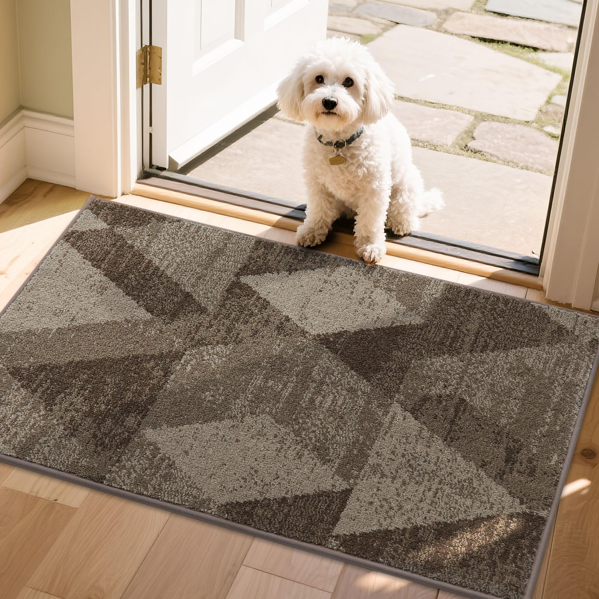 COSY HOMEER Entryway Rugs Doormat 20"x32", Non-Slip Absorbent Polyester, Washable Rugs for Front Door, Dirty Paws & High Traffic Areas, Dark Gray